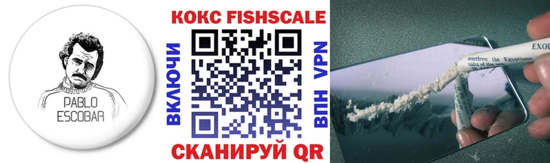 omg вход  Ленинградская  COCAIN Fish Scale 