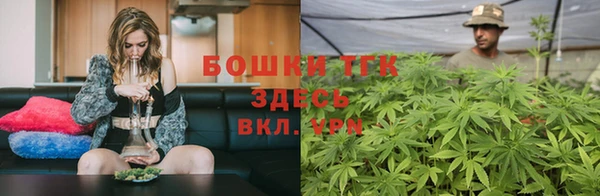 крисы Абдулино