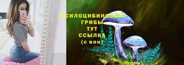 крисы Абдулино