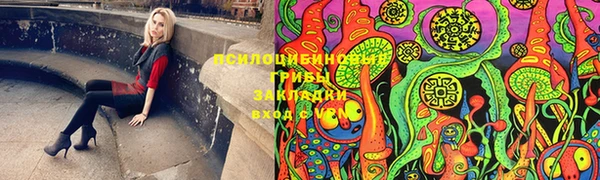 крисы Абдулино