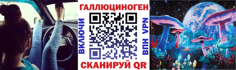 Псилоцибиновые грибы прущие грибы  Ленинградская 